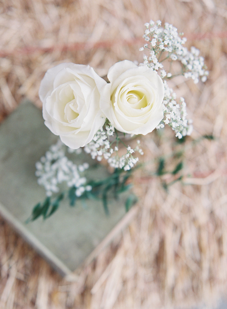 vintage book roses