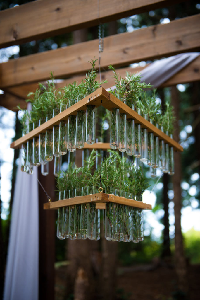 rosemary test tube diy chandelier