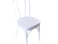 white matte bentwood chair cushion