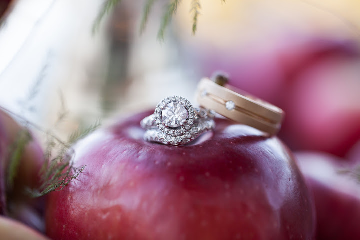 Apple orchard wedding at Seacider Farm & Ciderhouse - Trend Decor